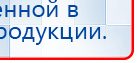 Электрод Скэнар - лицевой двойной Пешки купить в Заволжье, Электроды Скэнар купить в Заволжье, Скэнар официальный сайт - denasvertebra.ru